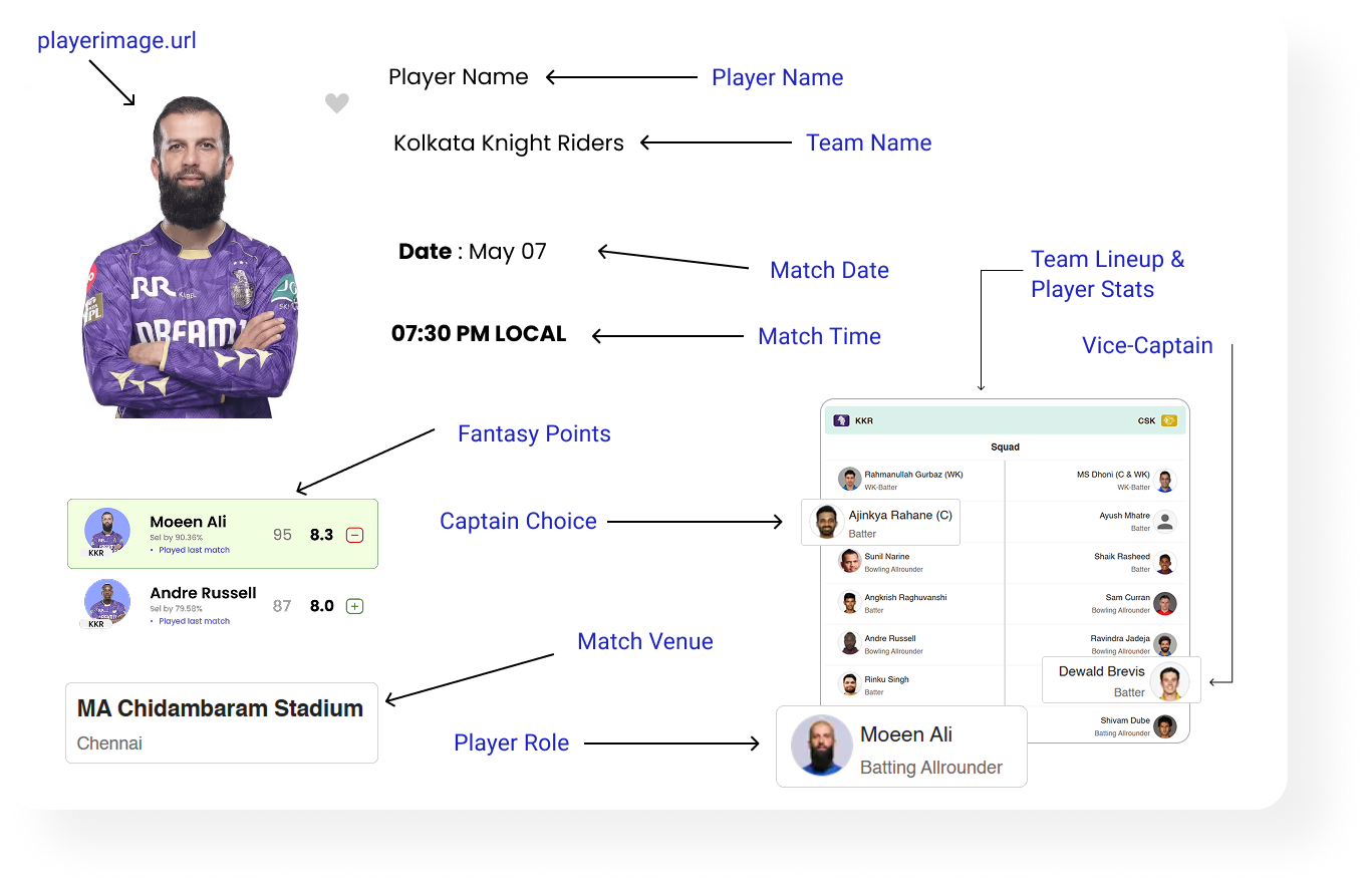 List of Data Fields